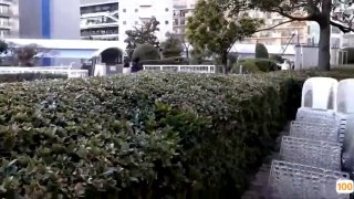 国产精品日本一区二区三区